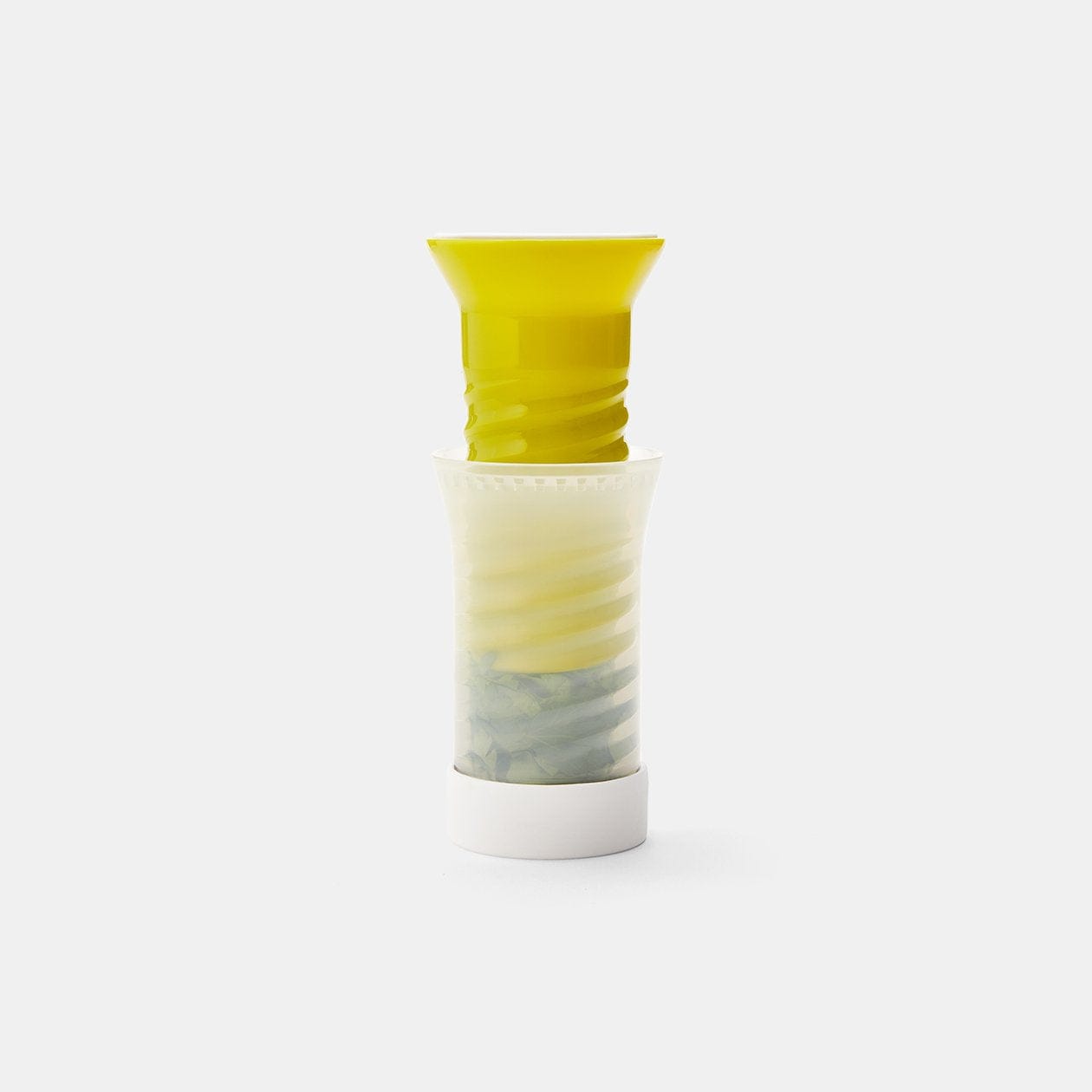 chef-n-herbcicle-conservateur-herbes-fra-ches-congeler-persil-coriandre-basilic image 6