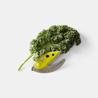 chef-n-looseleaf-plus-effeuilleur-de-kale-et-l-gumes-feillus-avec-ciseaux-en-ino image 5