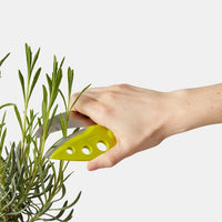 chef-n-looseleaf-plus-effeuilleur-de-kale-et-l-gumes-feillus-avec-ciseaux-en-ino image 3