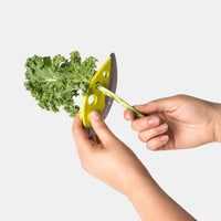 chef-n-looseleaf-plus-effeuilleur-de-kale-et-l-gumes-feillus-avec-ciseaux-en-ino image 8