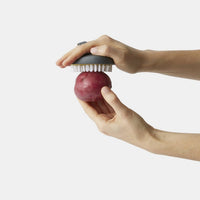 chef-n-palmbrush-vegetable-brush-brosse-l-gumes-ergonomique-paume-flexible image 2