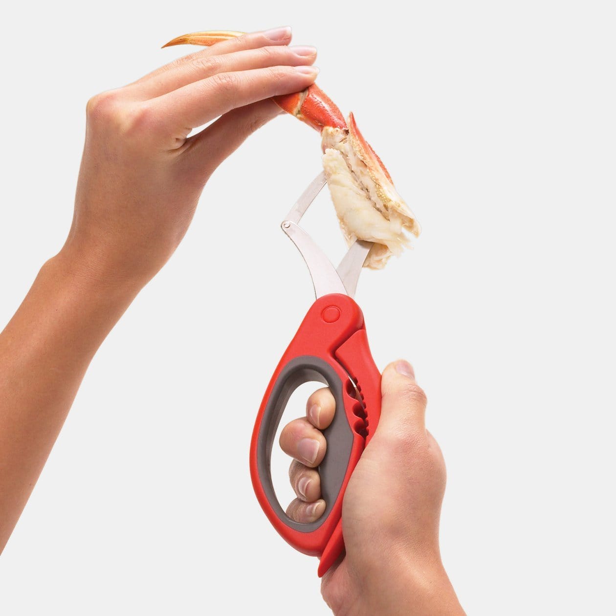 chef-n-wisecracker-casse-crabbe-levier-pour-crustac-s-et-fruits-de-mer image 4