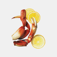 chef-n-wisecracker-casse-crabbe-levier-pour-crustac-s-et-fruits-de-mer image 8